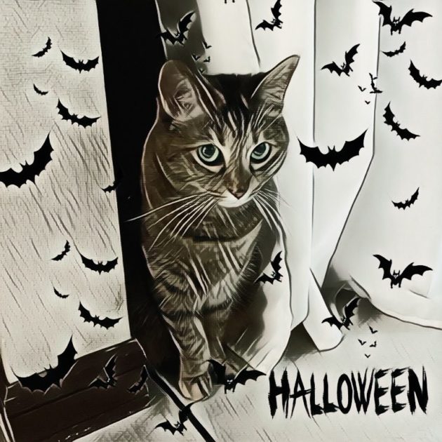 画像に alt 属性が指定されていません。ファイル名: FDB79yFagAACbkB-630x630.jpeg