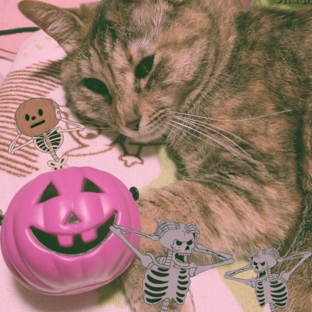 画像に alt 属性が指定されていません。ファイル名: FDBfC_OaIAA77y3-630x630.jpeg